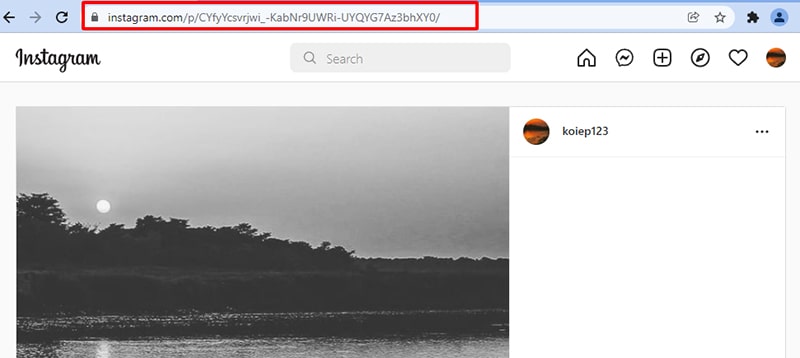 copy private instagram link